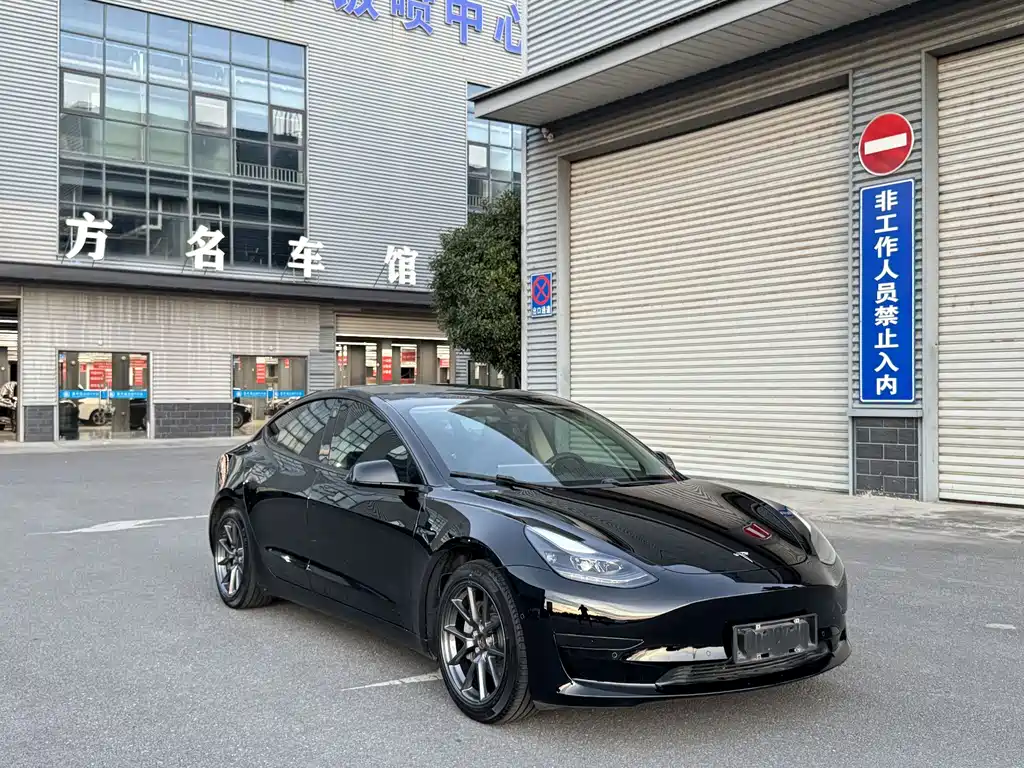 Tesla Model 3 — миниатюра 10