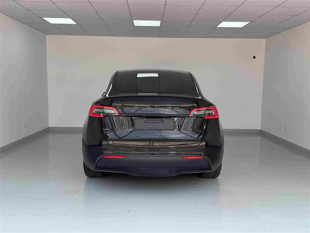 Tesla Model Y — миниатюра 18