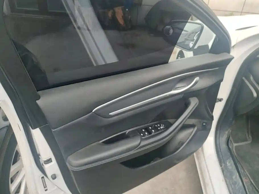 BYD Destroyer 05 2023 Champion DM-i 55KM Luxury