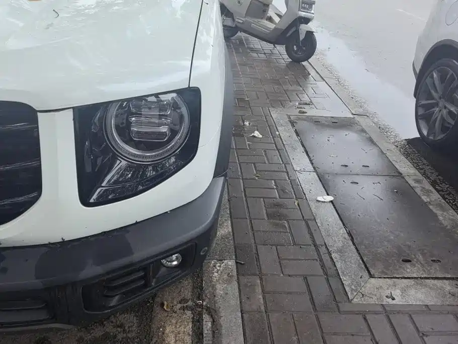 Haval Big Dog — миниатюра 5