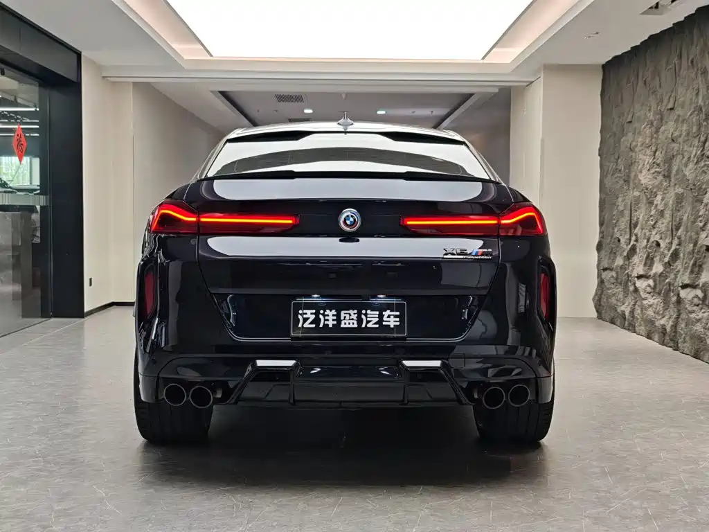 BMW X6 M — миниатюра 21
