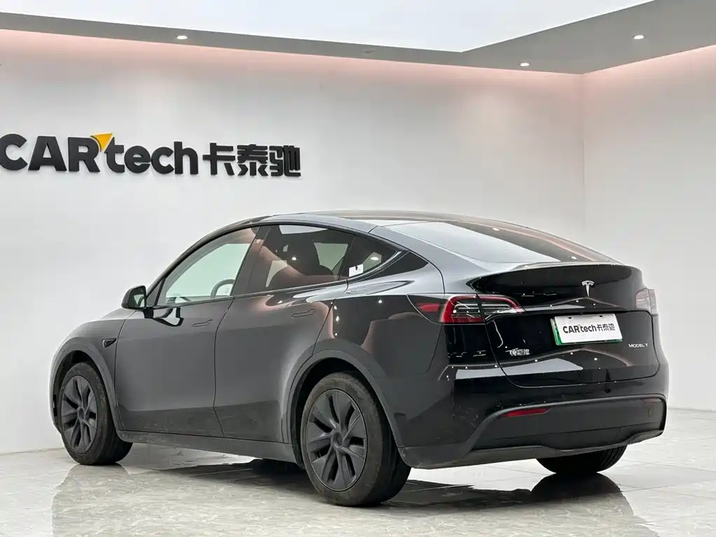 Tesla Model Y — миниатюра 3