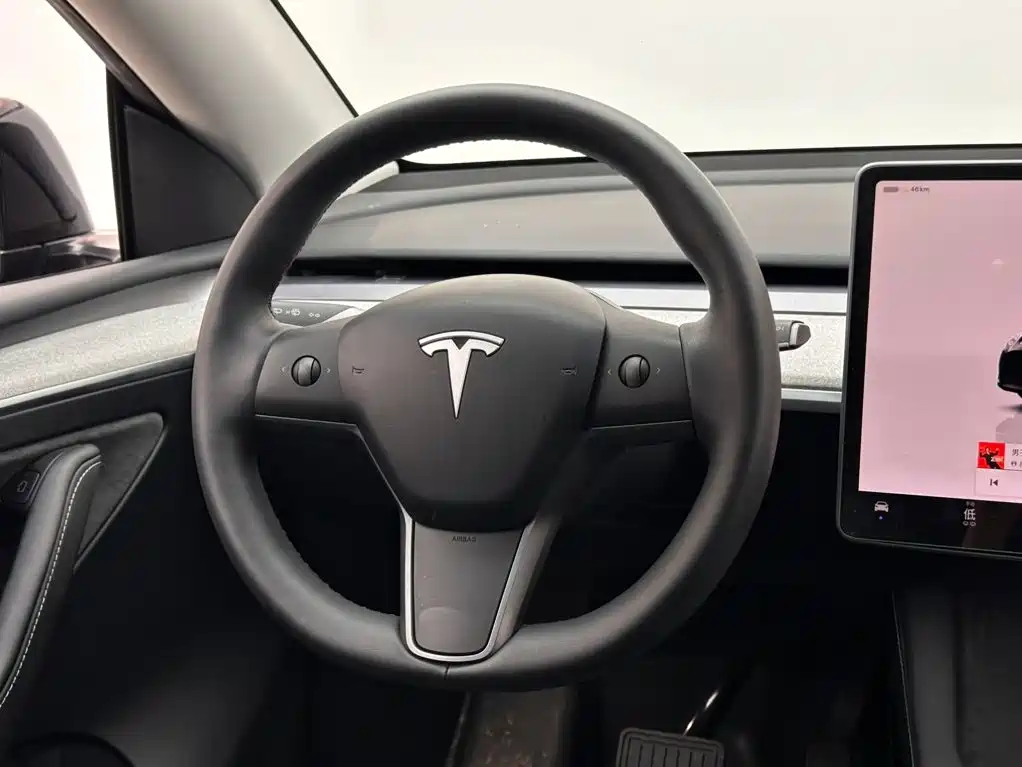 Tesla Model Y — миниатюра 12