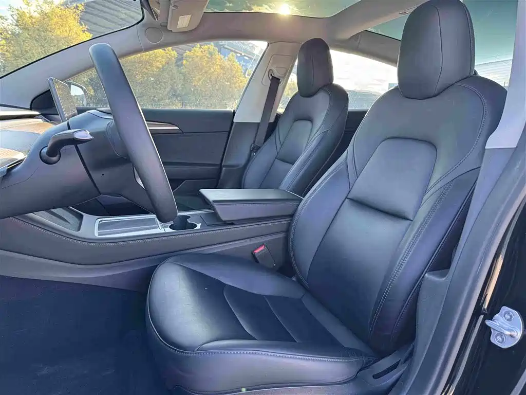 Tesla Model 3 — миниатюра 4