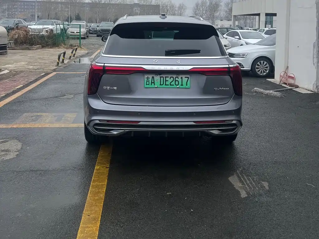 Hongqi Hongqi E-HS9 - фото 4