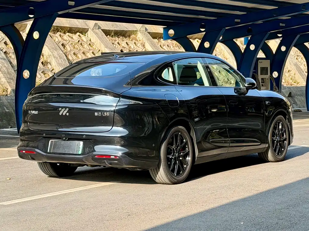 ZHIJI AUTOMOBILE ZHIJI LS6