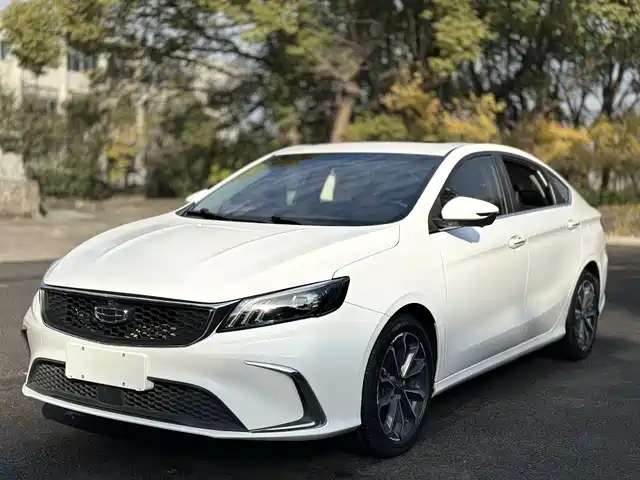 GEELY AUTOMOBILE BINRUI