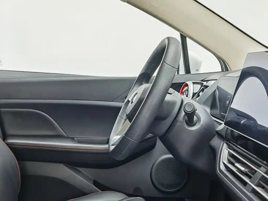 BYD S2 — миниатюра 22