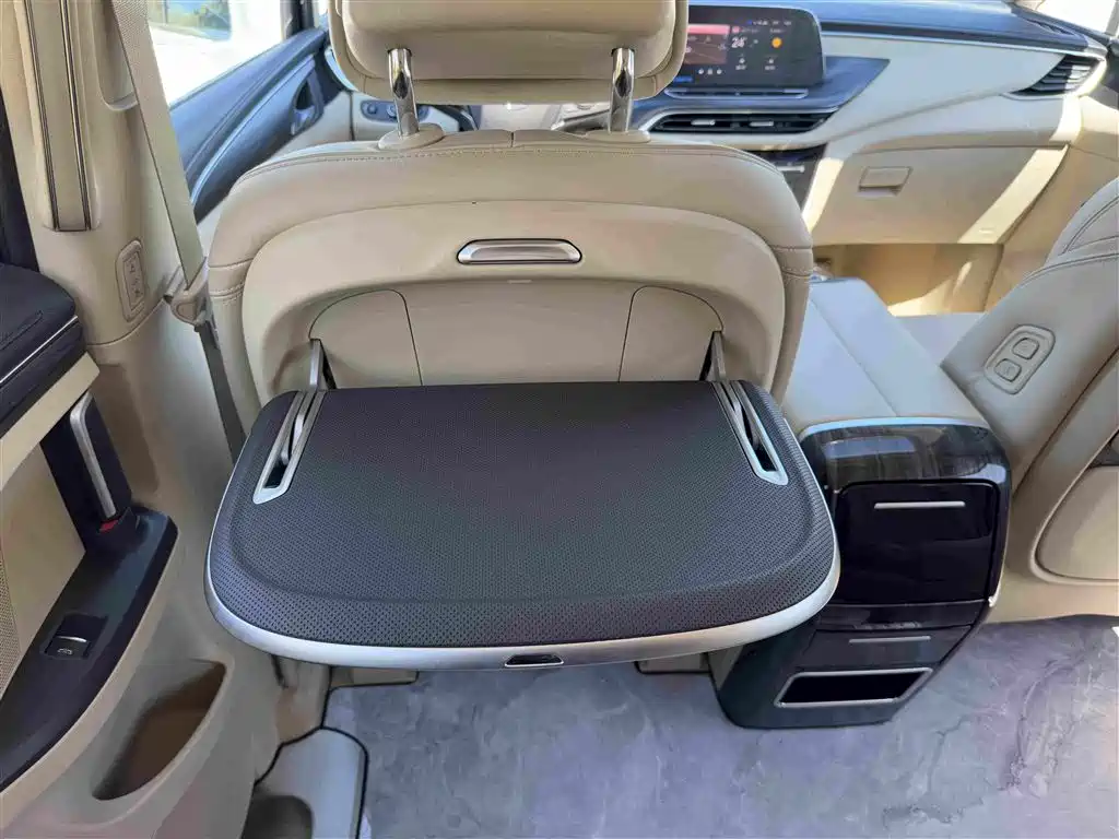 Buick GL8 — миниатюра 11