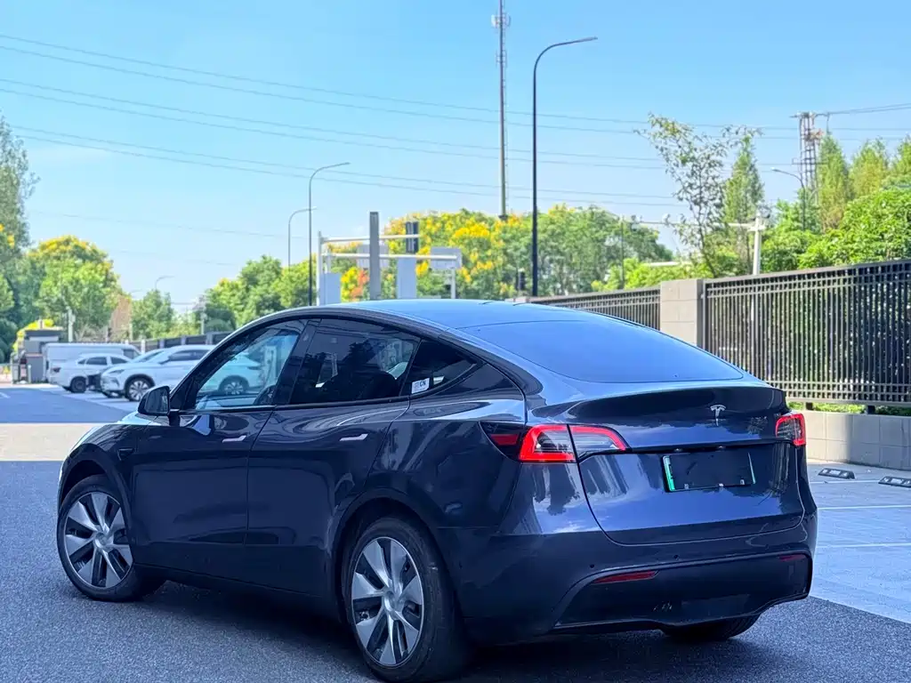 Tesla Model Y — миниатюра 4