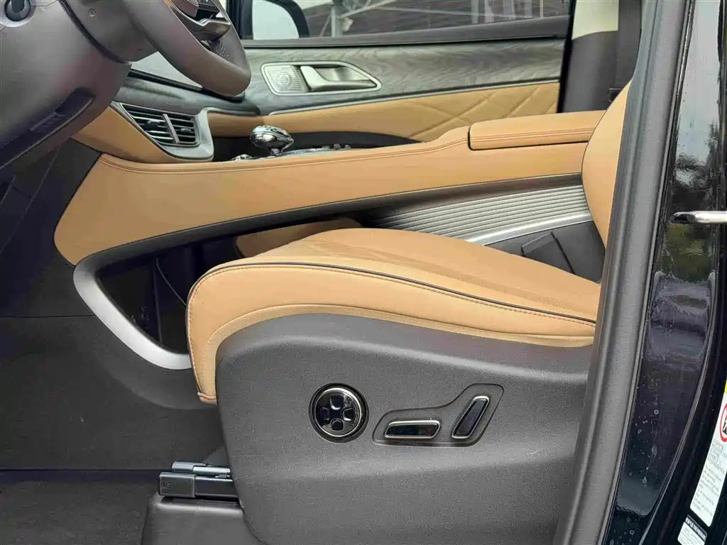Denza Denza D9 — миниатюра 9