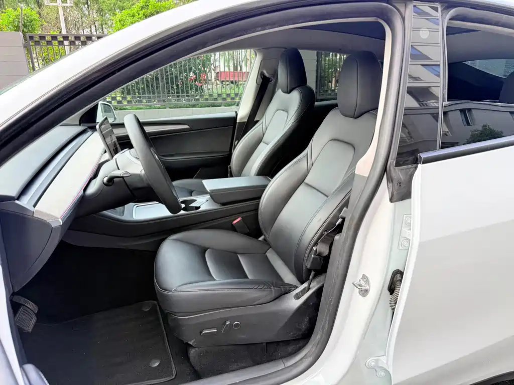 Tesla Model Y — миниатюра 7