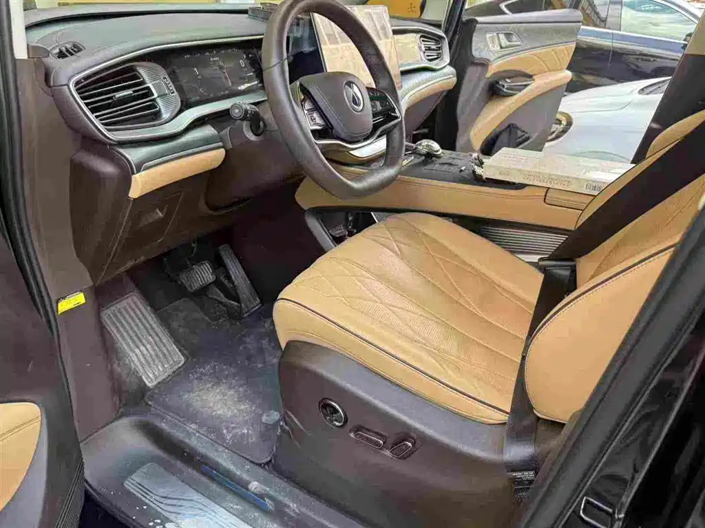 Denza Denza D9 — миниатюра 3