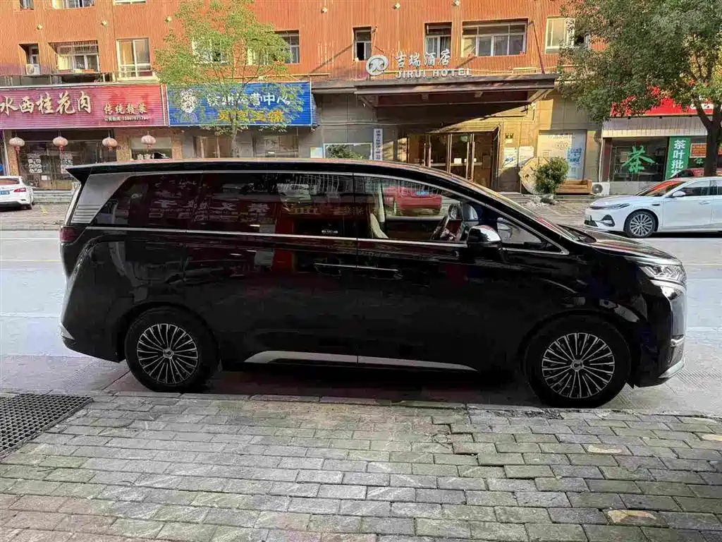 Denza Denza D9 — миниатюра 8