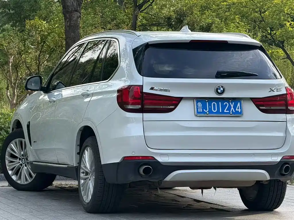 BMW X5 (Import) — миниатюра 7