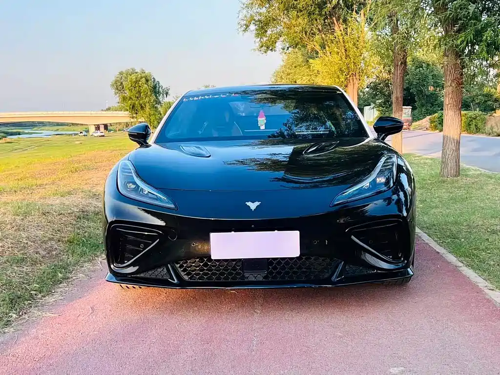 Neta Neta GT — миниатюра 2