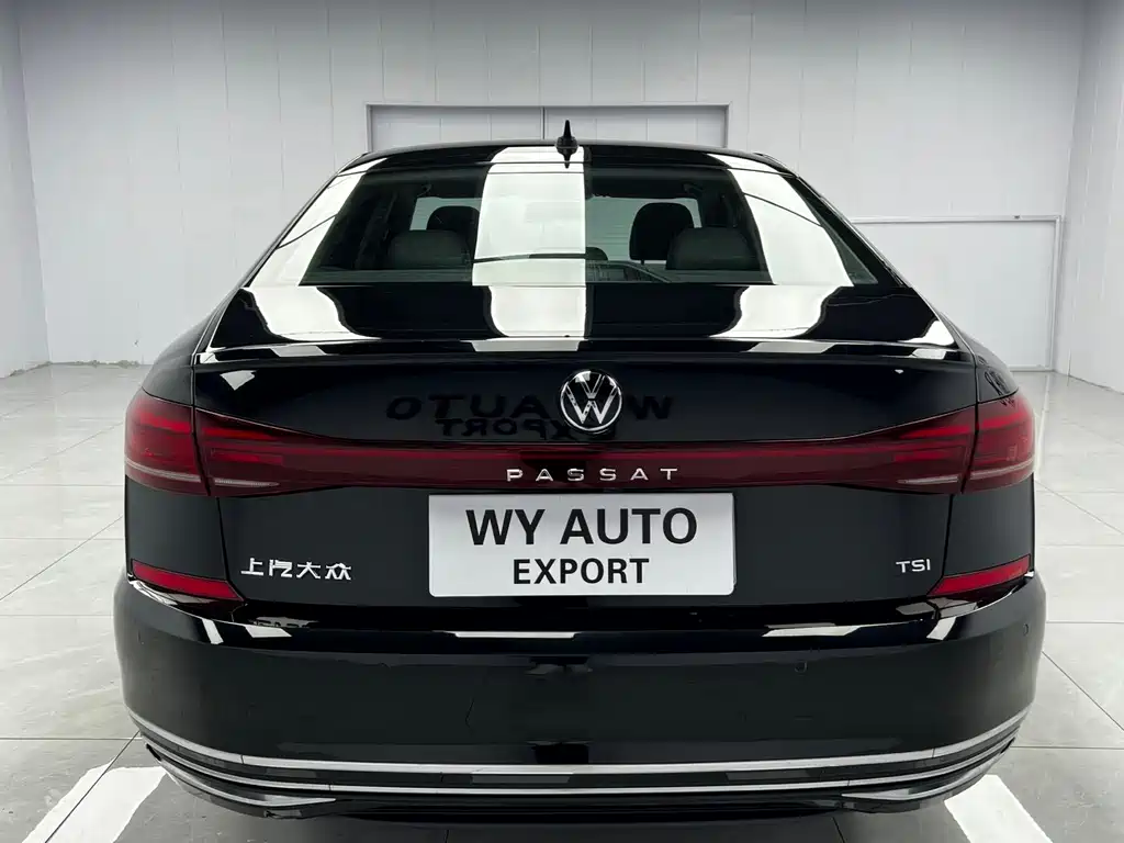 Volkswagen Passat — миниатюра 5
