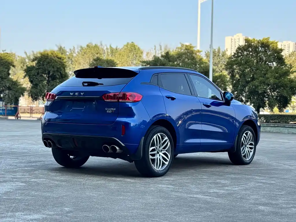 WEI PAI WEI BRAND VV5