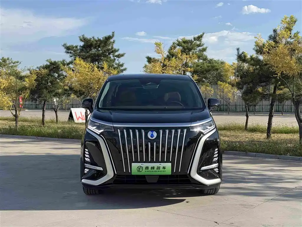 Denza Denza D9 — миниатюра 2