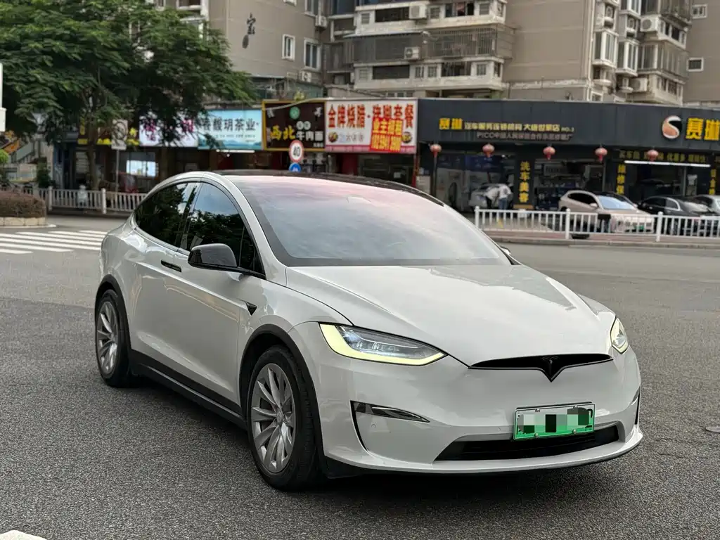 Tesla Model X — миниатюра 3