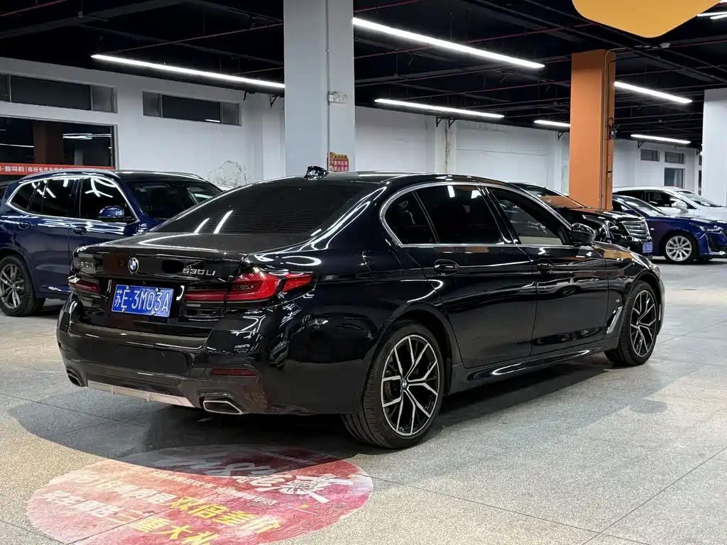 BMW 5 Series — миниатюра 5