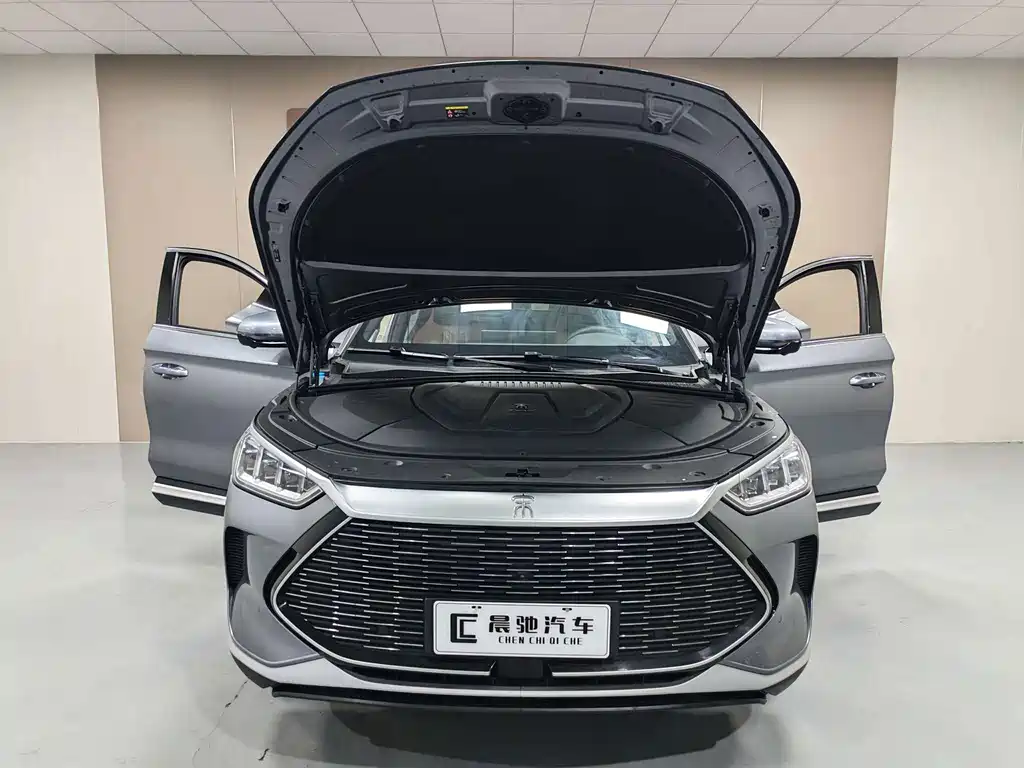 BYD PLUS New Energy — миниатюра 15