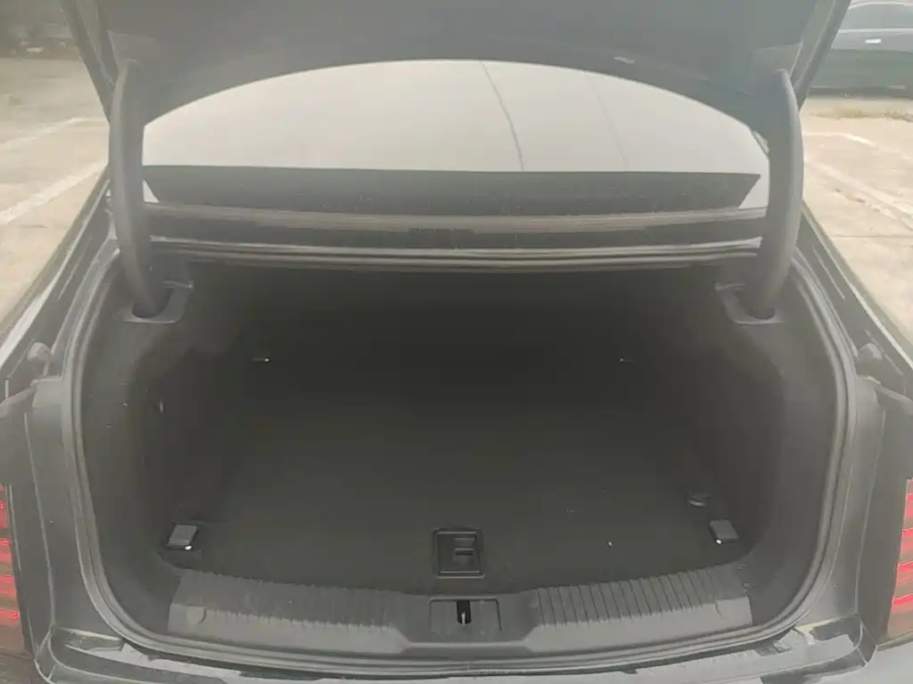 Hongqi Hongqi H9 — миниатюра 19