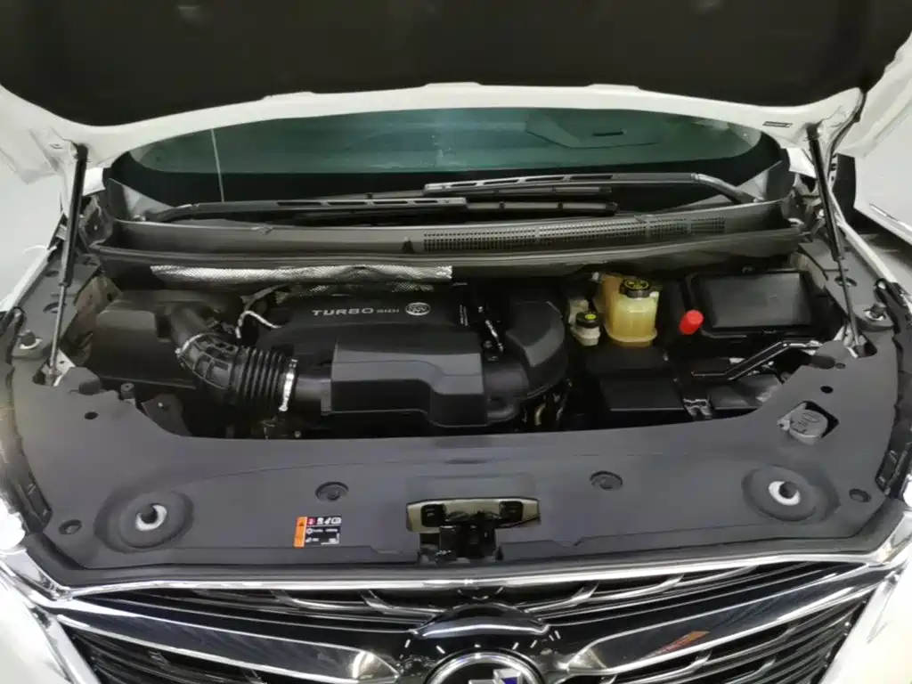 Buick GL8 — миниатюра 20