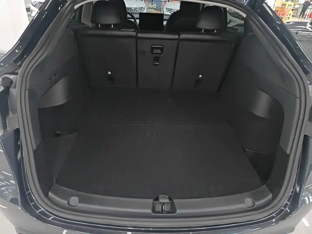 Tesla Model Y — миниатюра 19
