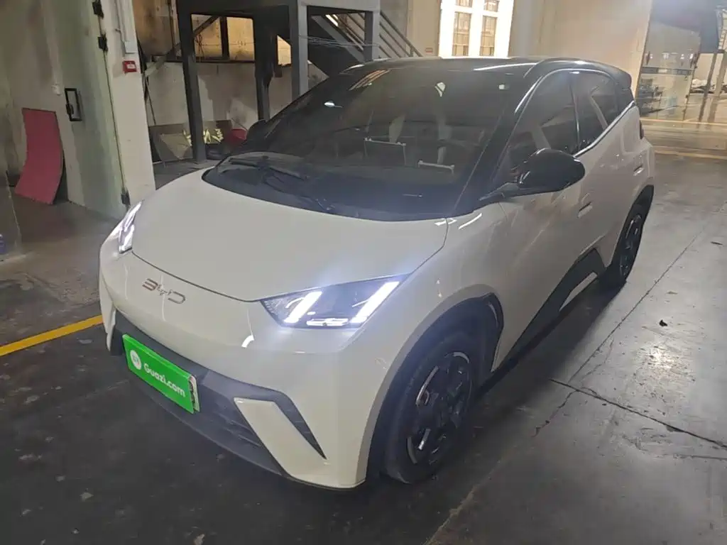 BYD Seagull