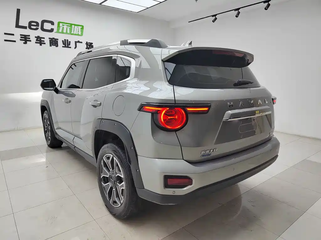 HAVAL SECOND GENERATION BIG DOG NEW ENERGY