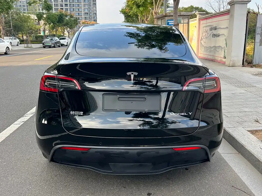 Tesla Model Y — миниатюра 13