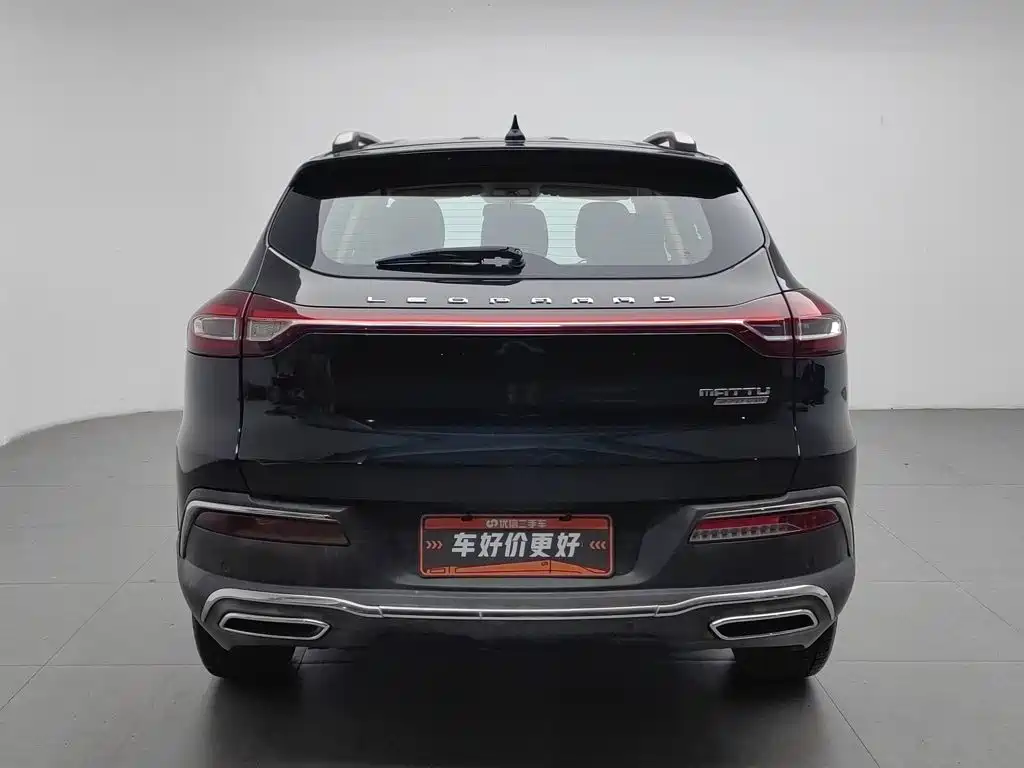 Leopaard Mattu — миниатюра 4