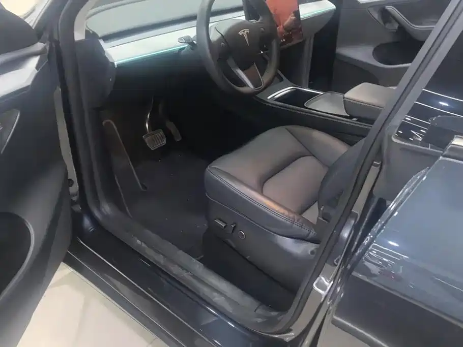 Tesla Model Y — миниатюра 9