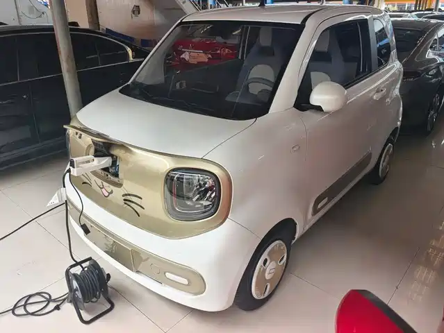 2024 Bestune Pony