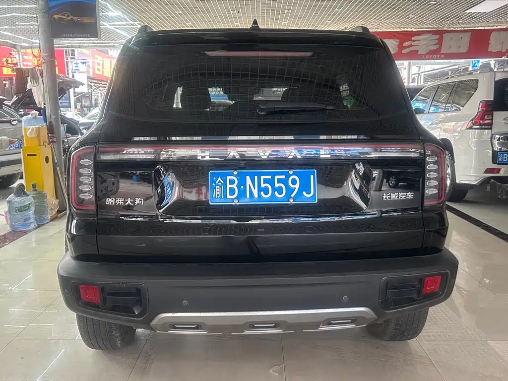 HAVAL BIG DOG