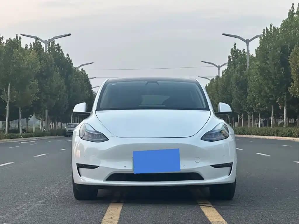 Tesla Model Y — миниатюра 2