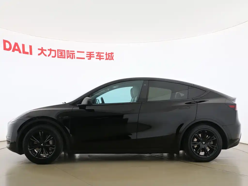 Tesla Model Y — миниатюра 10
