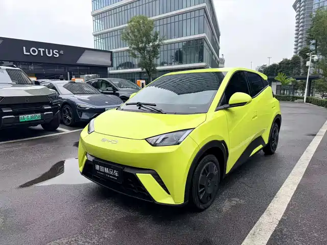 BYD Seagull