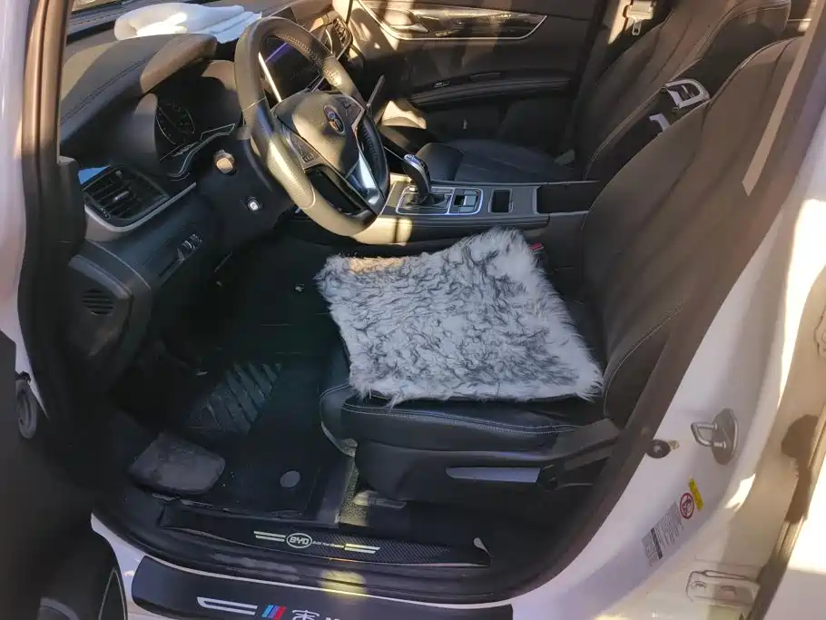 BYD MAX — миниатюра 9