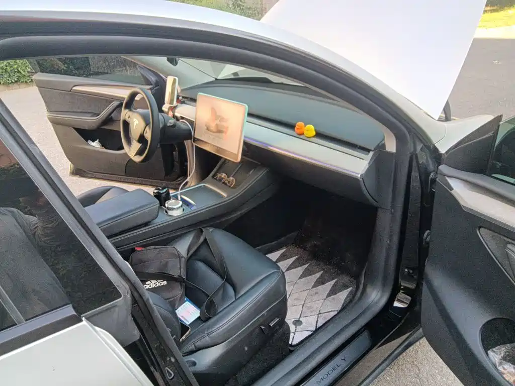 Tesla Model Y — миниатюра 19