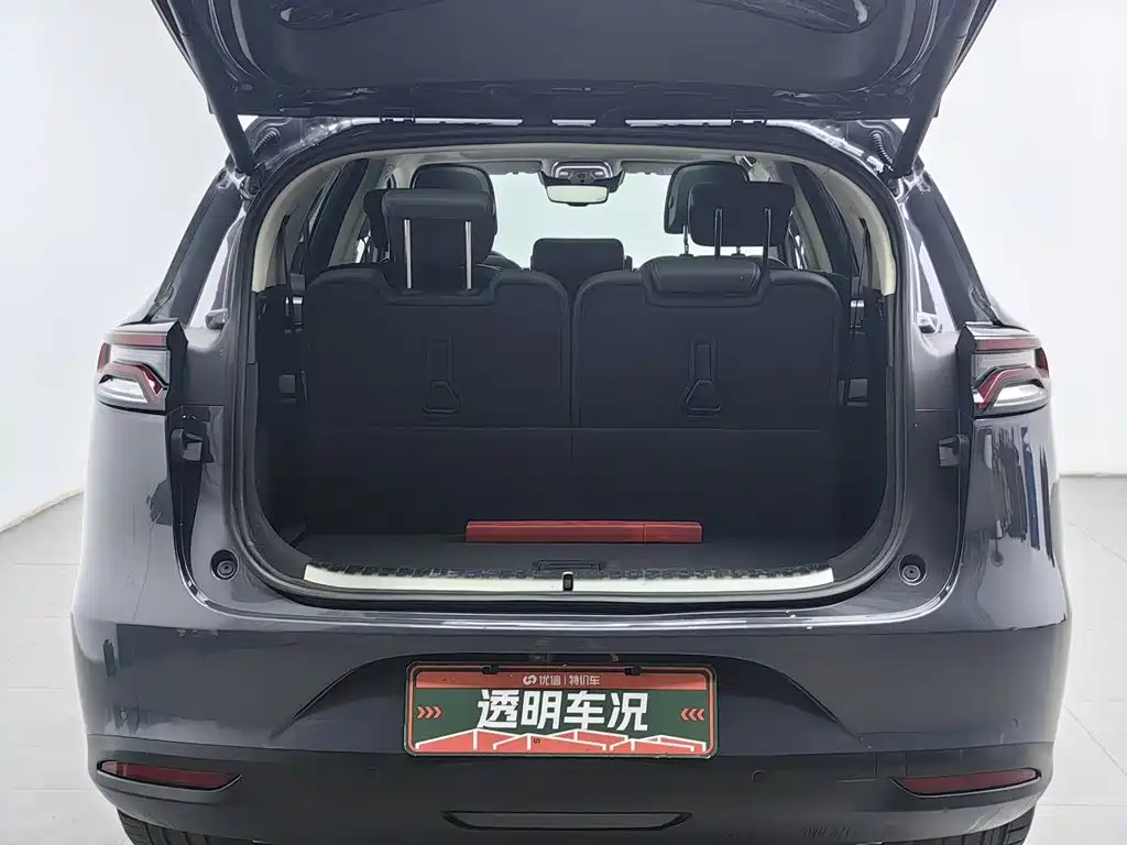 BYD Tang New Energy — миниатюра 16