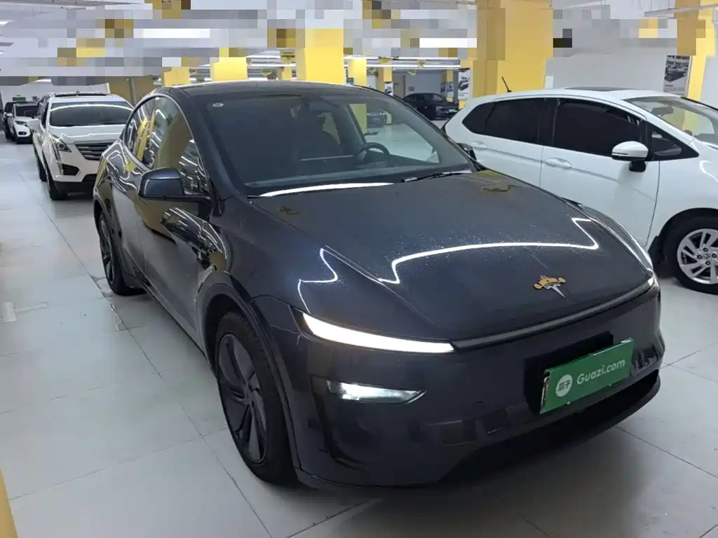 Tesla Model Y — миниатюра 4