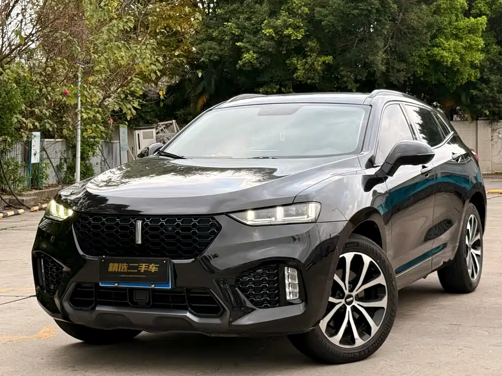 WEI PAI WEI BRAND VV7