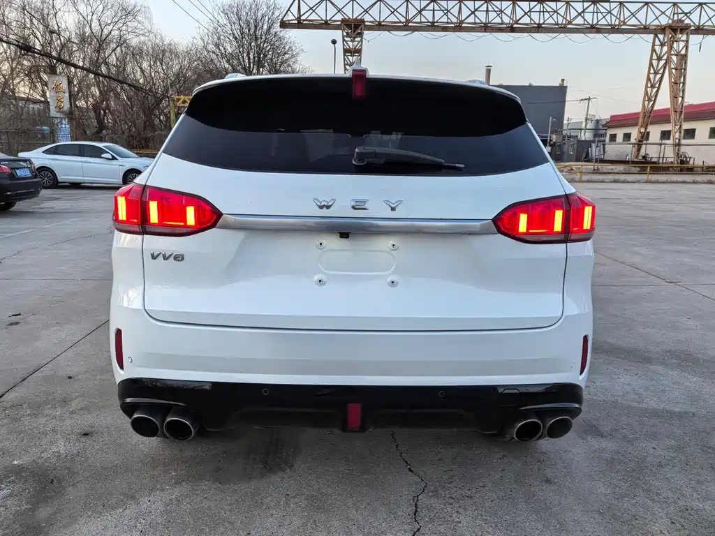 WEI PAI WEI BRAND VV6