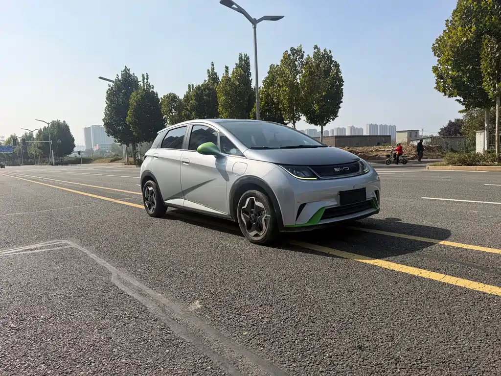 BYD Dolphin — миниатюра 3