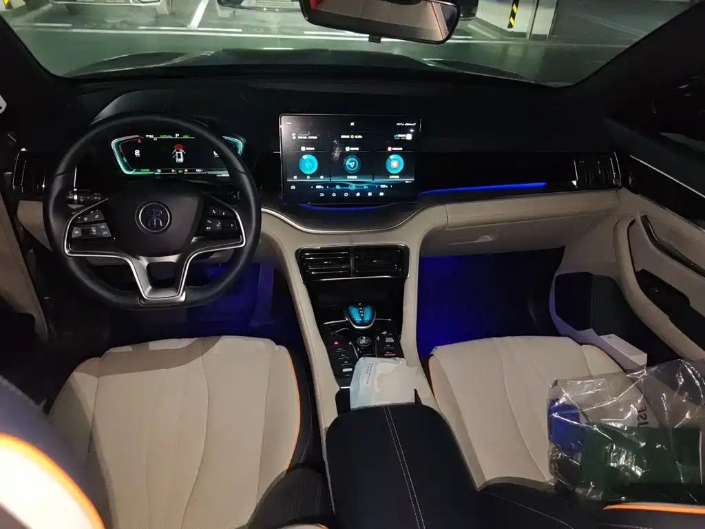 BYD PLUS New Energy — миниатюра 6