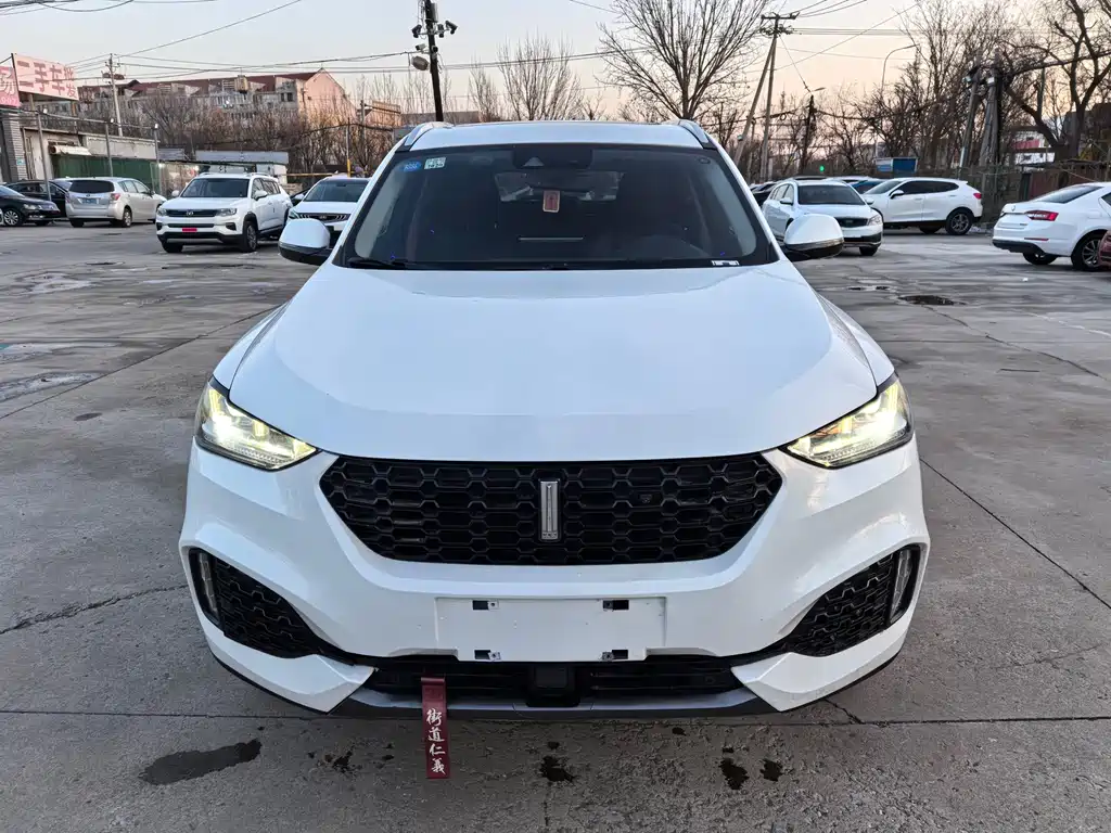 WEI PAI WEI BRAND VV6