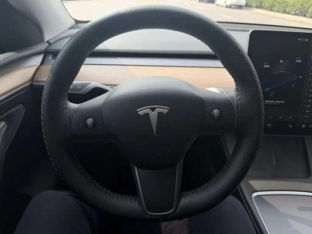 Tesla Model Y — миниатюра 17