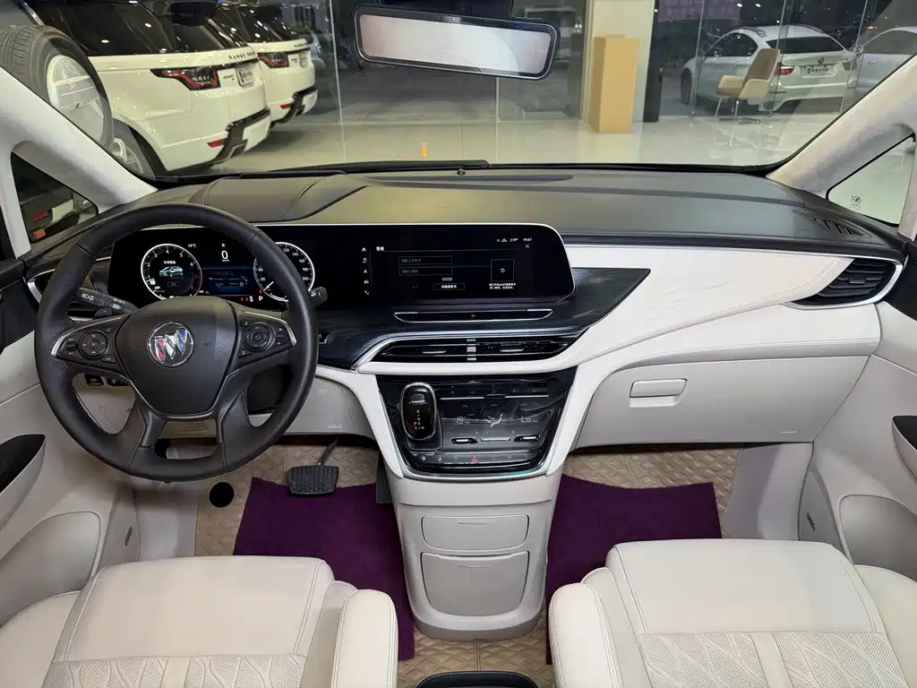 Buick GL8 — миниатюра 18